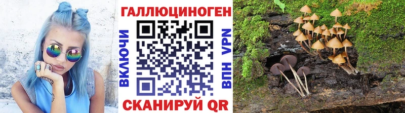 продажа наркотиков  Урень  Псилоцибиновые грибы Psilocybine cubensis 